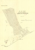 1. példány 1. példány